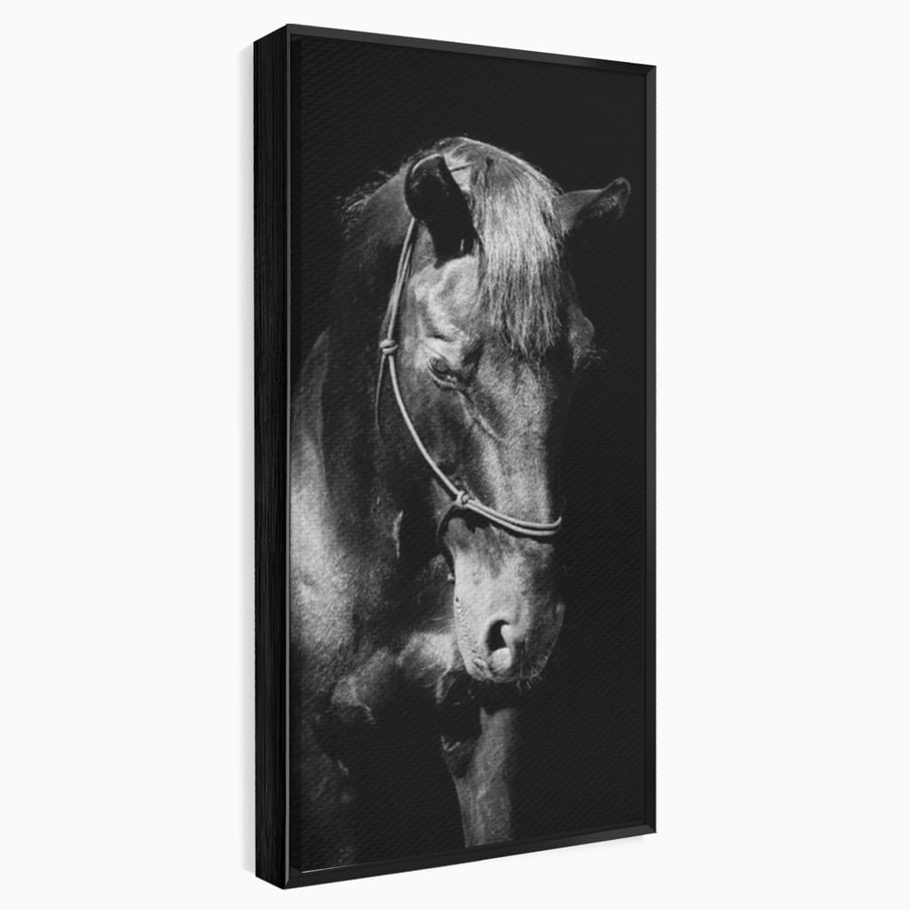 Tablou canvas cu tablou canvas cu un cal negru, in rama de aluminiu negru